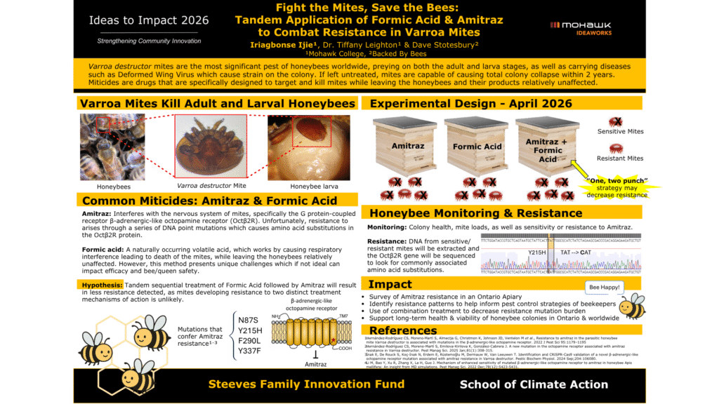 Yellow and black bordered poster with large title at top. Left side shows close-up photos of honeybees, varroa mites, and larvae. Center section displays experimental design with three hive diagrams (Amitraz, Formic Acid, and combined treatment) and mite illustrations labeled as sensitive or resistant. Right side includes text explaining the problem, hypothesis, and monitoring approach. Genetic sequence imagery showing Y215H mutation. Bottom includes references and funding acknowledgments for Steeves Family Innovation Fund and School of Climate Action. Cartoon bee graphics with smiling faces appear throughout.