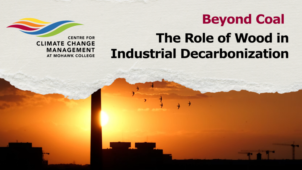 Website banner image for "Beyond Coal: The Role of Wood in Industrial Decarbonization," featuring the logo for the Centre for Climate Change Management at Mohawk College above a torn-paper effect revealing a industrial sunset with a smokestack silhouette and flying birds.