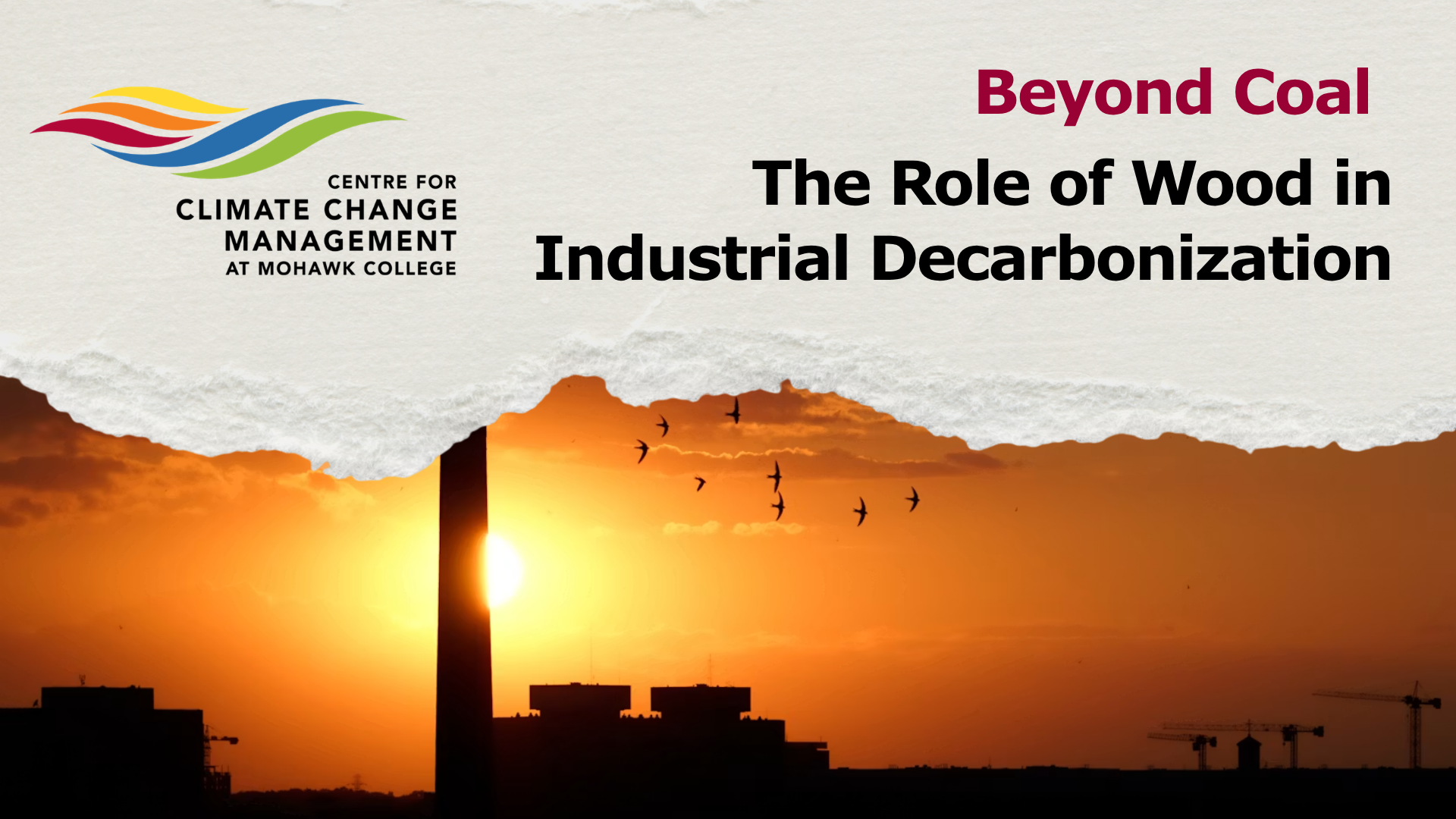 Website banner image for "Beyond Coal: The Role of Wood in Industrial Decarbonization," featuring the logo for the Centre for Climate Change Management at Mohawk College above a torn-paper effect revealing a industrial sunset with a smokestack silhouette and flying birds.